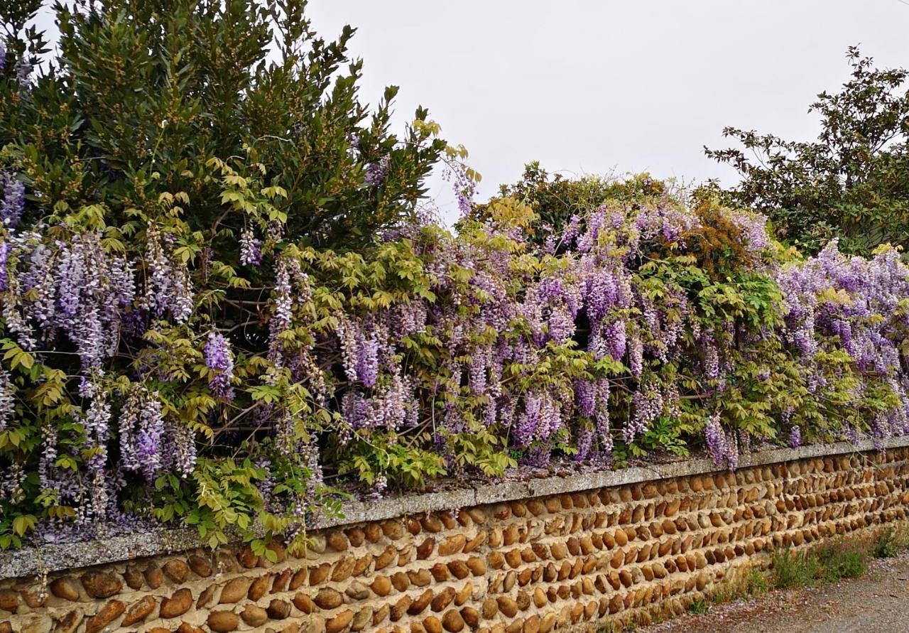 Comme A La Maison Clonas-sur-Vareze 外观 照片